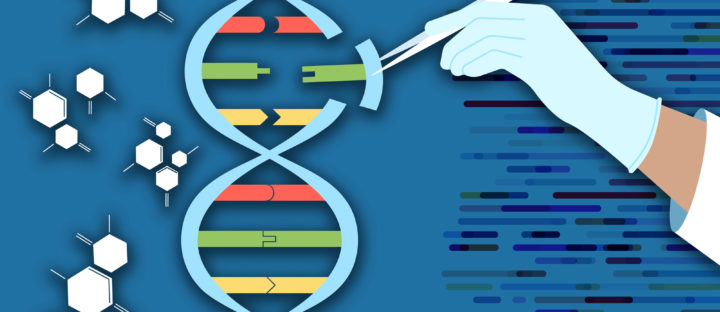 NM Research Progress: Dr. Dowling’s CRISPR/Cas9 Project