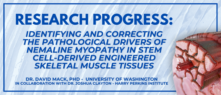 International Collaboration Drives New Discoveries in Nemaline Myopathy Research