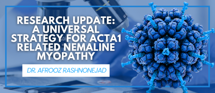 The Genetic Eraser and Pen: A Universal Strategy for 200+ ACTA1 Nemaline Myopathy Mutations
