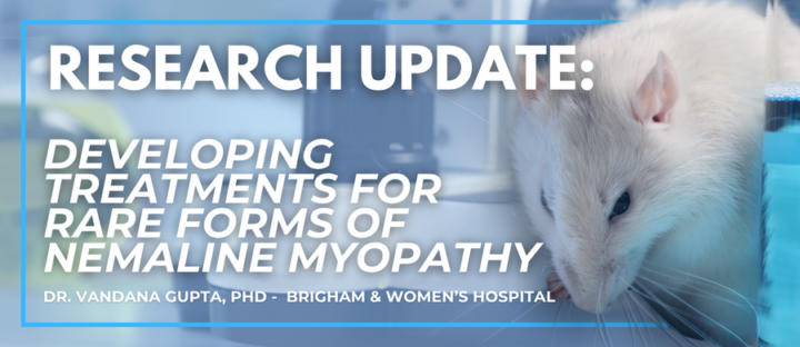 Protected: AFBS Research Update: Breakthrough Progress in the Search for Effective Nemaline Myopathy Treatments