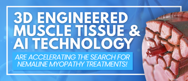Research Update: 3D Engineered Muscle and AI Accelerate the Search for Nemaline Myopathy Treatments